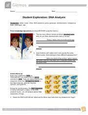 Aftward, we physically build dna models using the atta. Student Exploration Dna Analysis Answer Key Docx Student Exploration Dna Analysis Answer Key Download Student Exploration Dna Analysis Vocabulary Course Hero