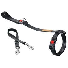 Correas para perros resistentes, de tendencia y de altísima calidad. Correa Para Ensenar A Caminar A Los Perros Tiendanimal