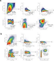Check spelling or type a new query. Efficient 5 Op Ru Induced Enrichment Of Mucosal Associated Invariant T Cells In The Murine Lung Does Not Enhance Control Of Aerosol Mycobacterium Tuberculosis Infection Biorxiv
