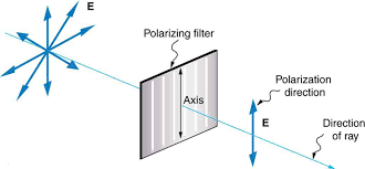 12 8 Polarization Douglas College Physics 1207 Winter 2020