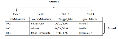 Struktur database adalah cara mengorganisasikan data agar pemrosesan data menjadi lebih efisien. Istilah Istilah Pada Database Yang Perlu Anda Ketahui Paling Umum