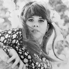 Artists — Lo-Flo Records