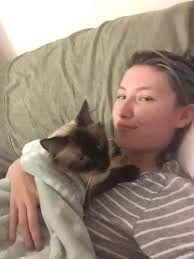 Lost Siamese Mix Cat in Riverside County