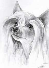 35 Beautiful Dog Drawings And Art Works From Top Artists The top countries of suppliers are china, taiwan. 35 beautiful dog drawings and art works