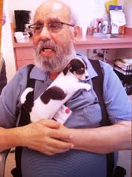 Connecting with people to make doggy daycare awesome