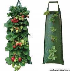 Fabric Tomato Strawberry Hanging Planter Flower Pouch Trailing Plants Grow Bag Ebay In 2021 Growing Organic Tomatoes Strawberry Plants Flower Planters
