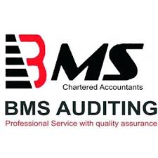 Bms Auditing Chartered Accountants Client Reviews Clutch Co