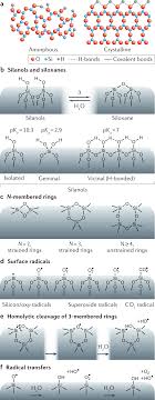 Especially your refrigerator, since it occupies the highest space in the kitchen. Synthetic Amorphous Silica Nanoparticles Toxicity Biomedical And Environmental Implications Nature Reviews Materials