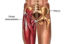 A groin strain is when one or more of the muscles in the inner thigh gets stretched, injured, or torn. Groin Strain Keystone Physiotherapy