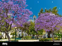 Jardim manuel bivar hi-res stock photography and images - Alamy