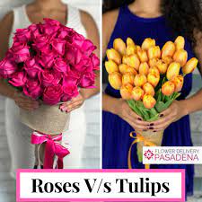 Tulips V S Roses Which Flowers You Gonna Choose Rose Tulip Blomster Flowers Garden Tulips Flowers Floweroftheday Flowerstalking Naturelovers Red