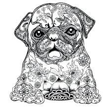 Pin On Adult Coloring Pages
