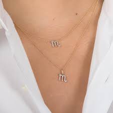 Diamond Zodiac Sign Necklace – Zoe Lev ...