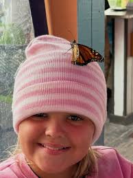 Twelve months of chasing peaks, salt air, wagging tails, family moments,  and big WOW energy. Let's go 2026! #YearInReview #ThisYear #Grateful  #FamilyTime #DogLife BeachDays MountainViews TravelMoments