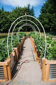 Metal trellis for garden vines. Diy Vegetable Garden Trellis Using Pvc And Wire Ten Acre Baker