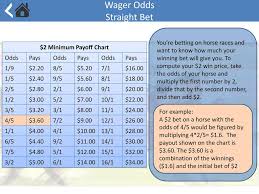 Basic Horse Wagering How To Place A Wager Learn About Odds