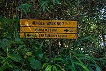 Set in cameron highlands, pahang region, oyo 1231 ar rayyan boutique hotel is located 9.9 mi from boh tea plantation. Cameron Highlands Travel Guide At Wikivoyage