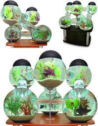 Powerful leds are attached to glow these tanks and ponds at night. 5 Cool Modern Fish Tank Designs Designs Ideas On Dornob