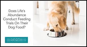 To help your big bundle of joy grow and thrive, choose life's abundance premium health food for large breed puppies. Does Life S Abundance Conduct Feeding Trials On Their Dog Food Healthy Pet Peeps