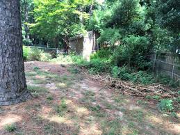 She told me yesterday that i needed to go stomp on follow up: Filling In A Sinkhole And Leveling My Yard Part 1 Of 3 Ugly Duckling House