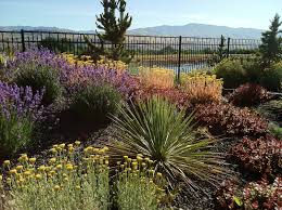 Boise Landscape Design And Build Landscape Design Backyard Landscaping Contemporary Garden