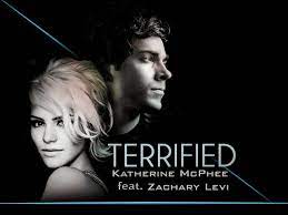 Terrified Katharine Mcphee Feat Zachary Levi Lyrics And Notes For Lyre Violin Recorder Kalimba Flute Etc