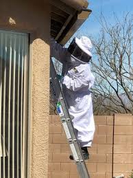 Stream tracks and playlists from above & beyond on your desktop or mobile device. Above Beyond Pest Elimination Tucson Az Pest Control Mapquest