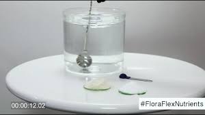 floraflex powder nutrients vs liquid