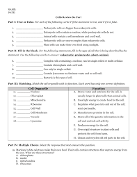 It makes the major decisions of the cell. Cells Practice Quiz
