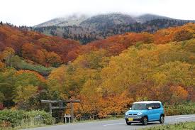 Image result for Hakkoda Walk