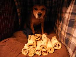 Many pet stores and feed and farm stores allow animals as do some home improvement stores. Doggie Delights On Broadway 12 Photos 43 Reviews Pet Stores 1432 S Broadway Denver Co United States Phone Number
