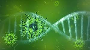 Health officials recorded 184 new cases of the disease on tuesday, along with no new deaths. Update B C Coronavirus Cases Spike To 21 Economy Law Politics Business In Vancouver