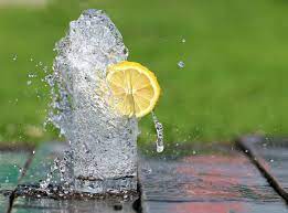 Can Dogs Drink Lemon Water Is Lemon Water Safe For Dogs Hepper