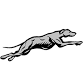 Naugatuck Greyhounds vs Ansonia Chargers event image