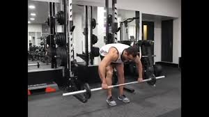The lateral raise targets the middle portion of your shoulder muscle. Spider Bench Front Raise Myworkouts Io