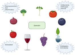 Can Compounds of Natural Origin Be Important in Chemoprevention? Anticancer  Properties of Quercetin, Resveratrol, and Curcumin—A Comprehensive  Review