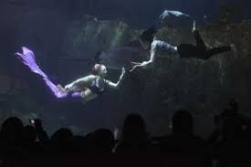 Mermaid Love Story Turkuazoo Akvaryum Aquarium Mermaid Love Story Theme Park Water Park