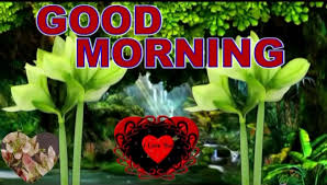 Good morning pictures 2020, hd photos. Good Morning We Can Learn To Love Only By Loving Love Status Wishes Videos Messages Quotes Images Photos Wishes Video Dailymotion