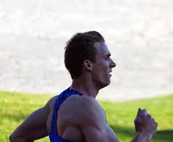 Olympic champion thiam relieved by tokyo 2020 postponement. Niels Pittomvils Wikipedia