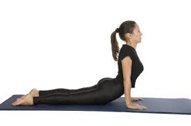 How To Do Cobra Yoga Pose Or Bhujangasana Or Nagasana Yoga Yogapose Asana Yoga Poses Cobra Pose Yoga Yoga