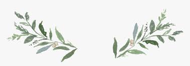 8 christmas wreaths and frames featuring winter greens as png files with transparent background (12×12 inches) (frames come with gold border and with a simple white border) 48 separate clipart files as png files with transparent background (includes foliage, christmas greenery, gold line art and foliage, gold splatters) Greenery Transparent Background Transparent Greenery Clipart Hd Png Download Kindpng