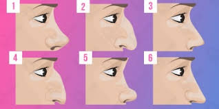 Personality Related To Nose Types Edad Estatura Peso Fotos Contacto Dazzling News personality related to nose types