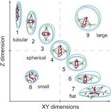 Mitosis is a process cell division, where one cell divides into two identical cells. Exploring The Function Of Cell Shape And Size During Mitosis Sciencedirect