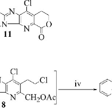 Image result for Eriocoelum microspermum