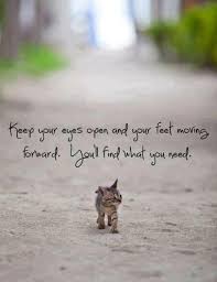 Keep Moving Forward Life Quotes Quotes Positive Quotes Quote Life Quote Inspirational Quotes Kitten Cute Animals Cats Animals Kittens Cutest