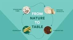 How Are Bagasse Plates Made?: A Step-by-Step Process ...