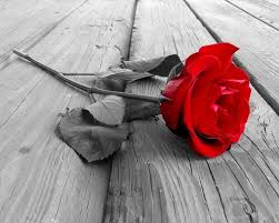 Sending sympathy flowers and gifts during such a difficult time is a nice gesture of your thoughts and feelings. Louise Mchenry Veterans Funeral Care