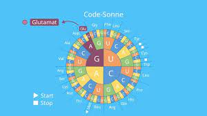 Maybe you would like to learn more about one of these? Codesonne Genetischer Code Anwendung Ubungsaufgabe Mit Video