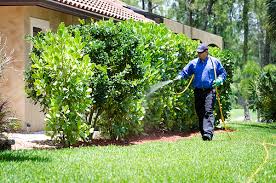 The warm, damp environment makes for an ideal environment for the termites. Catseye Pest Control