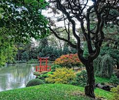 Japanese Hill And Pond Garden Brooklyn Botanical Garden Botanical Gardens Garden Japanese